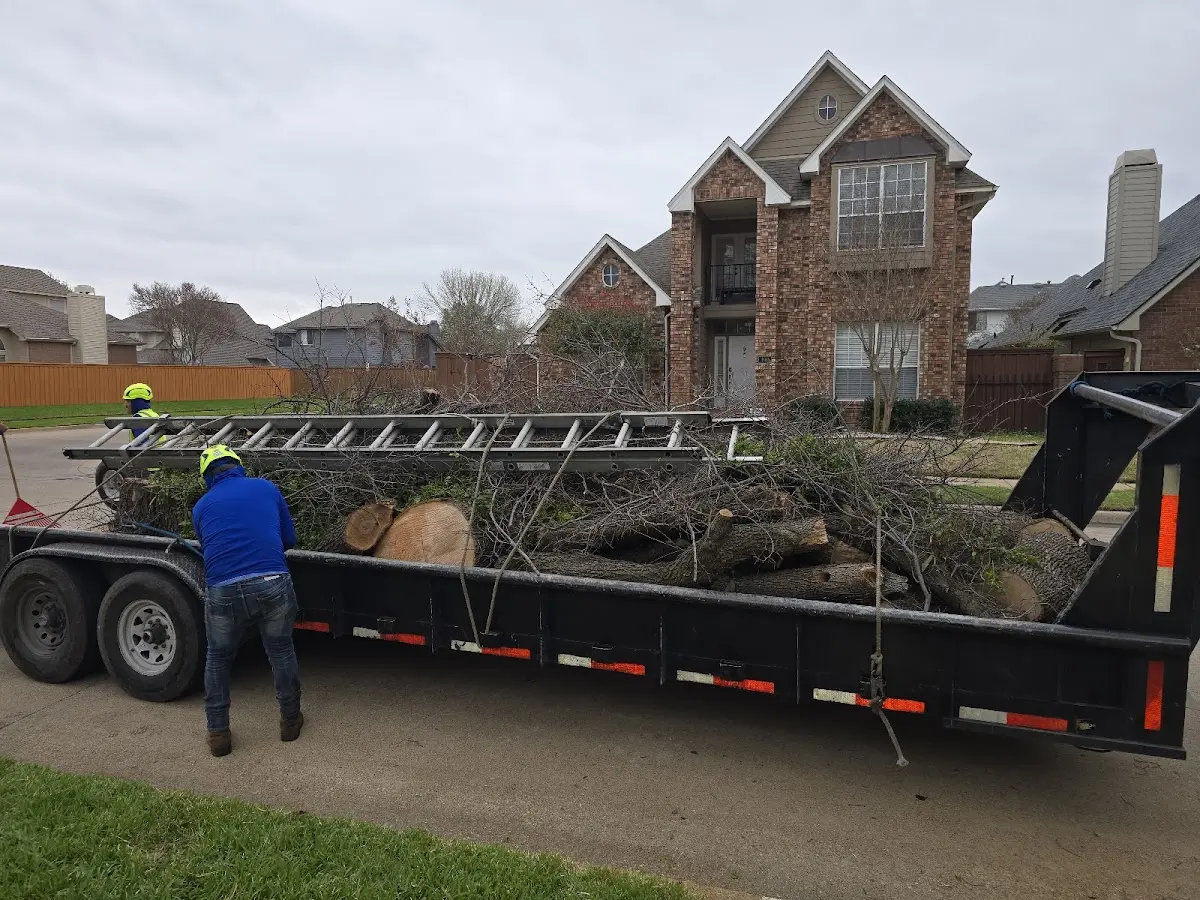 Expert Tree Fertilization with proper safety equipment in Mendon
